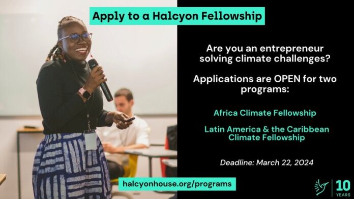 halycon-latin-america-caribbean-fellowship-2024
